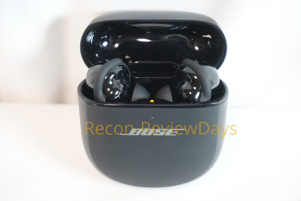 Bose QuietComfort Ultra Earbuds 第1世代を洗濯機で洗って破損させてしまったお話